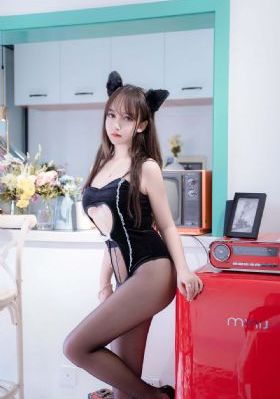 29片棕榈叶