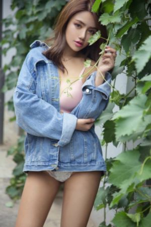 芭蕾复仇曲电影完整版免费观看