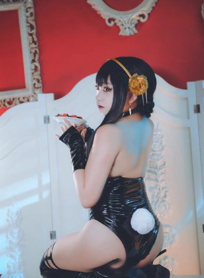 姐姐5免费完整电视剧